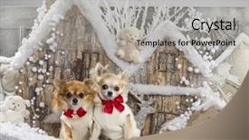  Presentation with scenery - Slides consisting of chihuahuas in front of a christmas scenery background and a light gray colored foreground