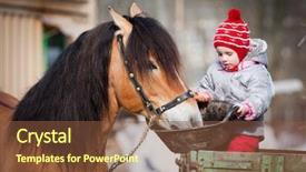  Presentation with horse child - Cool new PPT theme with child feeding a horse sitting backdrop and a tawny brown colored foreground