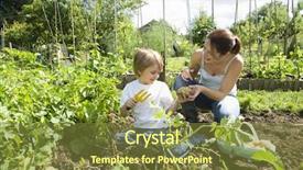  Presentation with indian mother son - Presentation design consisting of children growth - mother and son gardening together background and a tawny brown colored foreground
