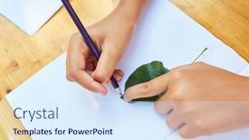  Presentation with summer camp - Beautiful slides featuring child-hand-draws-plant backdrop and a sky blue colored foreground