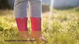  Presentation with magic garden - Cool new PPT theme with child-leg-in-pink-wellington backdrop and a gold colored foreground