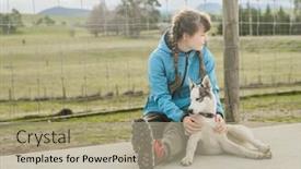  Presentation with high quality - Slide set enhanced with child-petting-a-purebred-siberian background and a mint green colored foreground