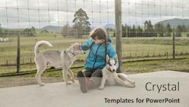  Presentation with high quality - Slide deck having child-petting-a-purebred-siberian background and a mint green colored foreground