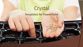  Presentation with seeds - Colorful PPT layouts enhanced with child sowing seeds into germination backdrop and a soft green colored foreground