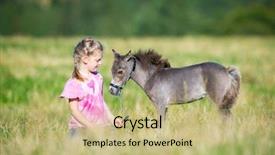  Presentation with foal - PPT theme featuring child with a small mini background and a mint green colored foreground
