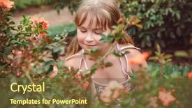  Presentation with rose flower - Theme featuring child with rose flower in spring garden background and a tawny brown colored foreground