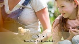  Presentation with chick - Slides enhanced with childern chicks - mother showing small chick background and a coral colored foreground