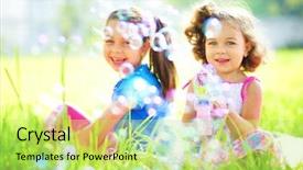  Presentation with soap sparkling air bubbles - Slide deck enhanced with white wagtail on a field is searching for fodder background and a gray colored foreground