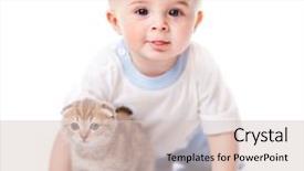  Presentation with baby animals - Slides featuring children animals - baby with kitten isolated background and a lemonade colored foreground