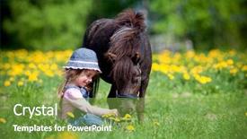  Presentation with horse child - Cool new theme with children animals - child and small horse backdrop and a seafoam green colored foreground