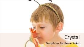  Presentation with bee propolis antimicrobials - Audience pleasing presentation design consisting of children drama - boy in bumble bee costume backdrop and a coral colored foreground