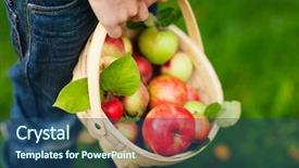  Presentation with child boy hold basket - Audience pleasing slide set consisting of temple in angkor siem reap backdrop and a gold colored foreground
