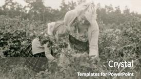  Presentation with fifties - Theme enhanced with vintage photo of mother and daughter picking wild blackberries fifties background and a gray colored foreground