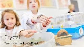  Presentation with elementary children - PPT theme with children-hold-little-mice background and a lemonade colored foreground