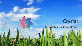  Presentation with pinwheel - Presentation theme featuring children rainbow - pinwheel at corn field background and a light blue colored foreground