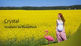  Presentation with flamingo - Slides consisting of young pregnant woman walking background and a gold colored foreground