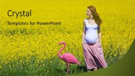  Presentation with flamingo - Presentation theme having young pregnant woman walking background and a gold colored foreground