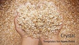  Presentation with grain mill - Beautiful theme featuring child's hands holding milled grain backdrop and a coral colored foreground