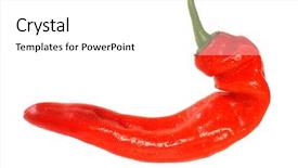  Presentation with pepper - Slide set consisting of chile peppers - fresh red pepper chili background and a  colored foreground