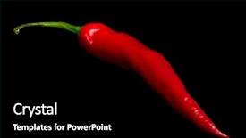  Presentation with red chilli - Beautiful theme featuring chile peppers - red hot chilli pepper isolated backdrop and a  colored foreground