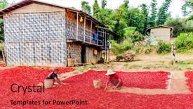  Presentation with december - PPT theme with chili near kalaw shan state background and a red colored foreground