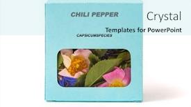  Presentation with chili - Slide set consisting of chili-pepper-medicinal-herbs background and a light blue colored foreground