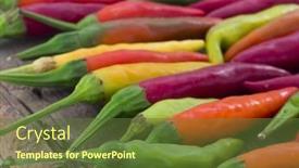  Presentation with chili plants - Amazing PPT theme having chili-peppers backdrop and a tawny brown colored foreground