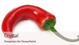  Presentation with chilli - Amazing slide set having chilli peppers isolated on white backdrop and a sky blue colored foreground