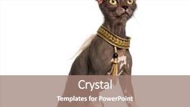  Presentation with cat dog - Cool new slide set with chimera with a chinese crested backdrop and a coral colored foreground