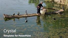  Presentation with birds - 