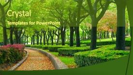  Presentation with green city - Presentation design having china shanghai - green city park background and a tawny brown colored foreground