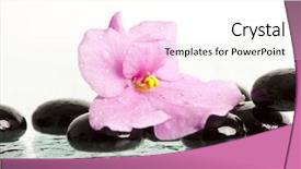  Presentation with hacker in pink and black - Cool new theme with chinese art - black spa stones and pink backdrop and a  colored foreground