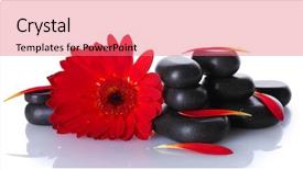  Presentation with stones - Beautiful PPT theme featuring chinese art - spa stones red flower backdrop and a coral colored foreground