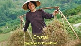  Presentation with weed - PPT theme consisting of chinese asian woman worker background and a tawny brown colored foreground