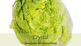  Presentation with cabbage - Presentation theme enhanced with chinese-cabbage-isolated-on-white background and a yellow colored foreground