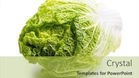  Presentation with cabbage - PPT theme with chinese-cabbage-isolated-on-white background and a yellow colored foreground