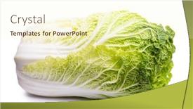  Presentation with cabbage - Slide deck consisting of chinese-cabbage-isolated-on-white background and a cream colored foreground