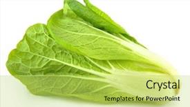  Presentation with cabbage - Colorful PPT layouts enhanced with chinese cabbage on white backdrop and a yellow colored foreground
