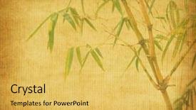  Presentation with bamboo paper - PPT theme featuring chinese calligraphy - silhouette of branches background and a yellow colored foreground
