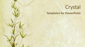  Presentation with bamboo paper - Presentation theme consisting of chinese calligraphy - silhouette of branches background and a soft green colored foreground