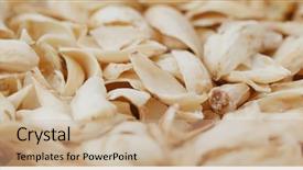  Presentation with medicina tradicional chinesa chinese herb - Slides enhanced with chinese dry dried lily bulb background and a coral colored foreground