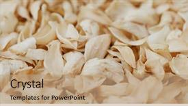  Presentation with chinese canadian - Audience pleasing theme consisting of chinese dry dried lily bulb backdrop and a coral colored foreground