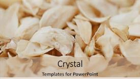  Presentation with lily - Presentation theme enhanced with chinese dry dried lily bulb background and a coral colored foreground