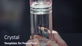  Presentation with cricket - PPT layouts consisting of chinese-fighting-cricket background and a wine colored foreground