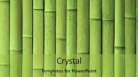  Presentation with bamboo - Audience pleasing slides consisting of chinese garden - green bamboo wall texture backdrop and a yellow colored foreground