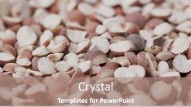  Presentation with soybean seed soy field seeding - Audience pleasing PPT layouts consisting of chinese-gordon-euryale-seed backdrop and a coral colored foreground