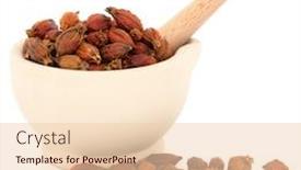  Presentation with chinese medicine - Audience pleasing slides consisting of chinese herbal medicine of gardenia fruit in a stone mortar with pestle over white background backdrop and a lemonade colored foreground