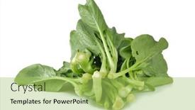  Presentation with chinese - Slides enhanced with chinese-kale-vegetable-isolated background and a yellow colored foreground