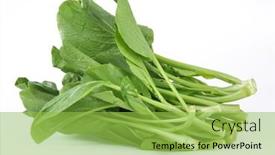 Presentation with chinese - Presentation with chinese-kale-vegetable-isolated background and a yellow colored foreground