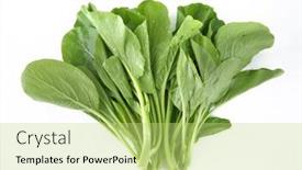  Presentation with chinese chinese - Slide set featuring chinese-kale-vegetable-isolated background and a  colored foreground